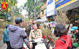 Rực rỡ sắc xuân ở chợ hoa Hàng Lược